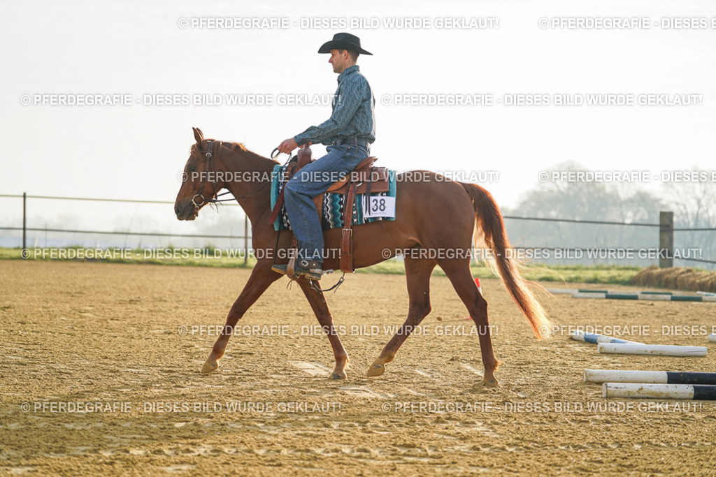 DSC09686 | Pferdegrafie