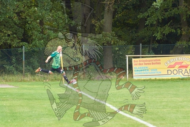 SpG Freya Marienwerder-Union Klosterfelde III vs. SpG Biesenthal-Grüntal II 208 | mythos-online-redaktion