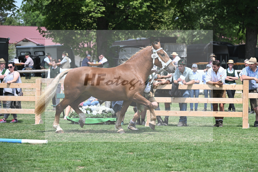 Kat-Nr. 39 Philine_Mayr_20230597 | hf-fotografie - Realisiert mit Pictrs.com