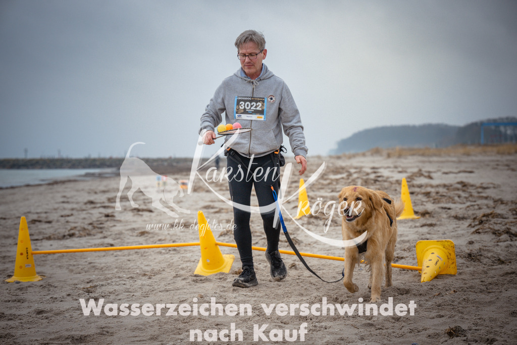 1049_ZZ96014 | kk-dogfotos