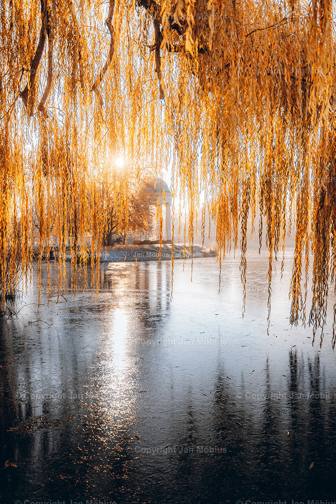 _DSC5187 | Leipzig Wandbilder Drucke Prints Leinwand Stadtmotive Leipzig Fotosdruck Kunstdrucke Bilder Leipzig Stadtansichten Acrylglasbilder Leipzig Wanddeko Fine Art Prints Wandbilder Büro Leipzig Bilder Praxis Zuhause Bilderdruck Poster Posterlounge Kunstdrucke - Realisiert mit Pictrs.com