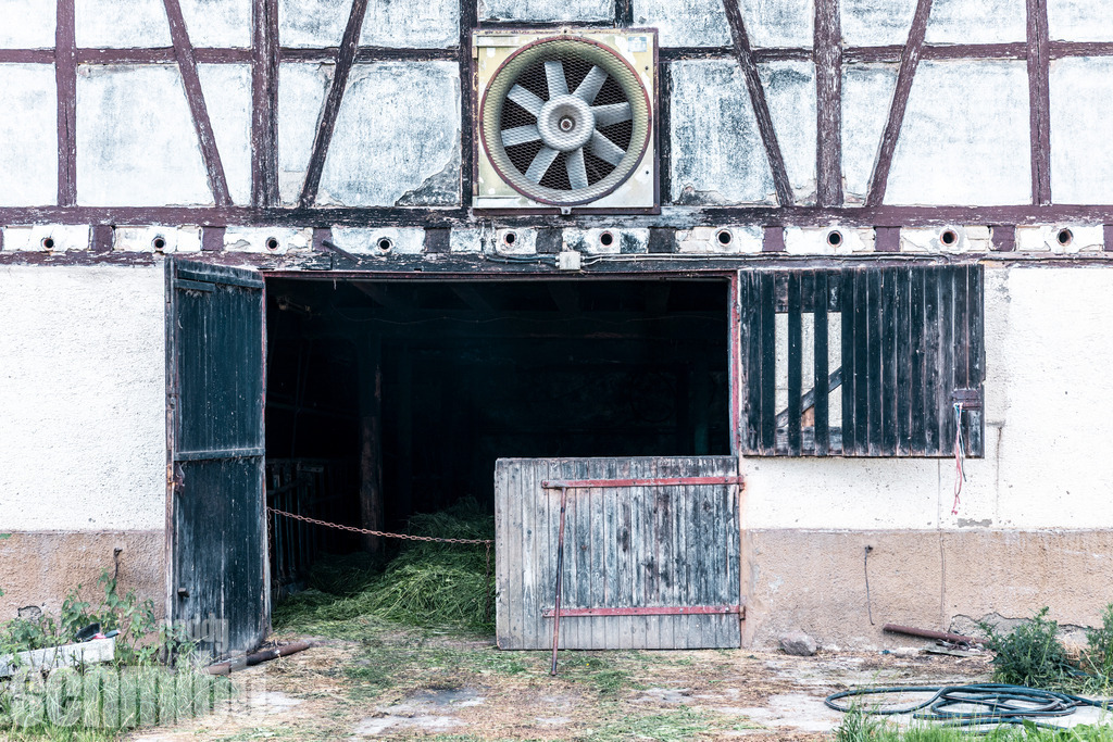 PS-Fassaden-Sueddeutschland-2026-04 | Entdecke die größte Bildgalerie der Region mit Fotografien aus dem Allgäu, der Bodenseeregion, Oberschwaben, dem Donautal und der Schwäbischen Alb. Landschaften, Luftaufnahmen und Reisefotografie als Wandbild und Fotokunst. - Realisiert mit Pictrs.com