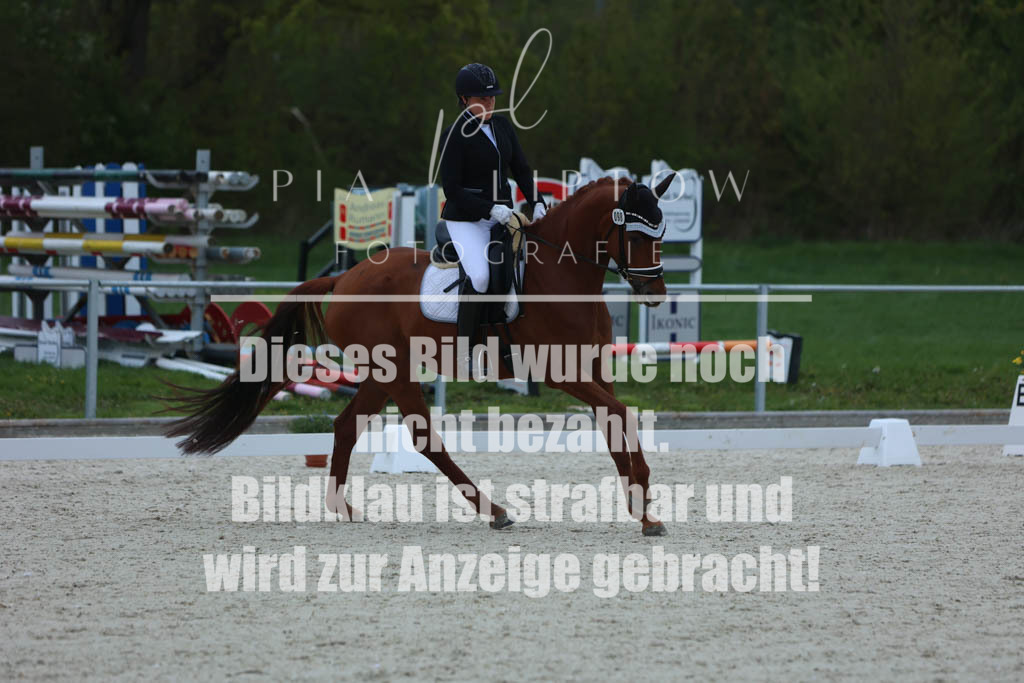 IMGM5961 | pl-fotografie