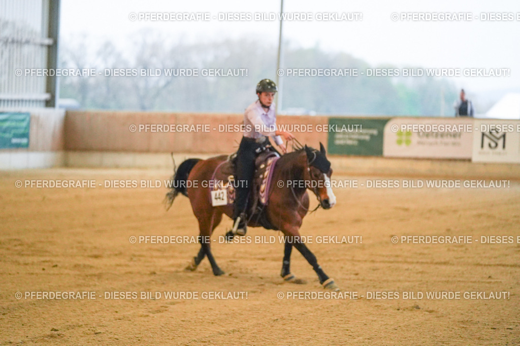 DSC09395 | Pferdegrafie