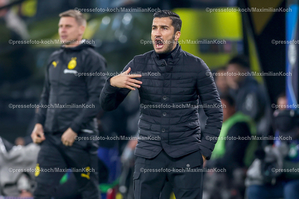 BVB05112401041 | 05.11.2024, Fußball, UEFA Champions League, Borussia Dortmund - SK Sturm Graz, 4. Spieltag, Signal Iduna Park, Saison 2024 2025: Trainer Nuri Sahin (Cheftrainer BVB) steht wild gestikulierend am SPielfeldrand Gestik Mimik