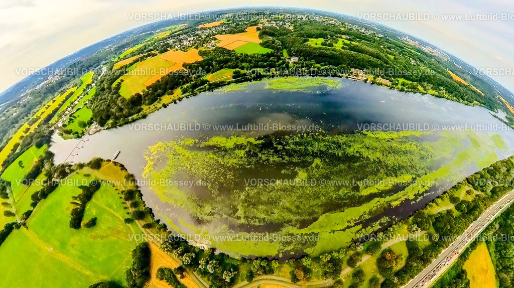 Witten240790001KemnaderSeeElodea | Luftbild, Kemnader Stausee mit Elodea, Wasserpest, Algenblüte, Segelboote und Stand-Up Paddeler, Fischaugenbild, Fish eye lens, Witten, Nordrhein-Westfalen, Deutschland