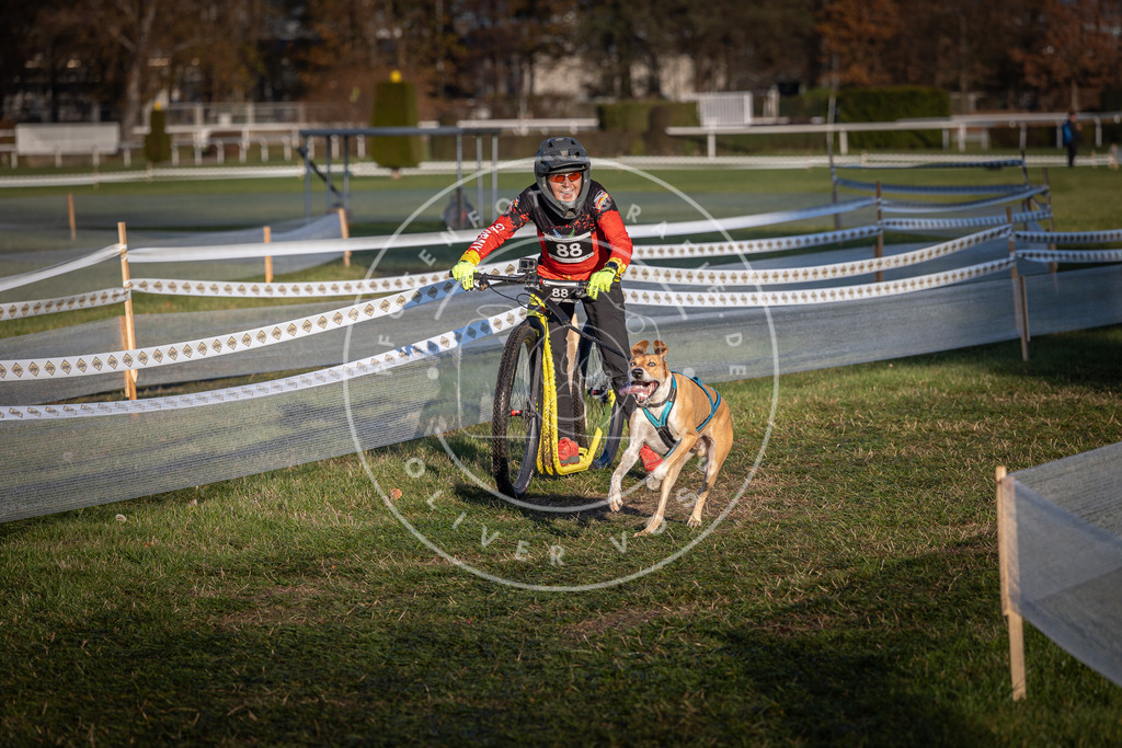 CaniXpix_0L8A3833 | Hundefotografie, Tierfotograf, Pfotenfotografie, Fotoshooting Hund, Hunde Portrait, Hundesport, Hundeportraits, Heideshooting, Hunde, Sportfotograf, Hundefotograf, Turnierhundsport, THS,  - Realisiert mit Pictrs.com