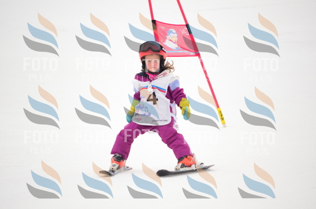 B9038 | holidayphoto