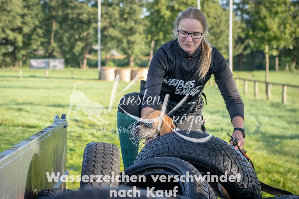 0828_ZZ91464 | kk-dogfotos