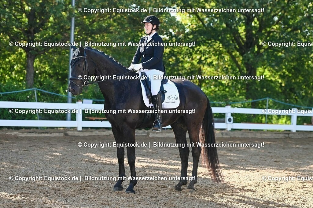 20230715_06_Dressurpferdeprfg. Kl.A_0027 | equistock
