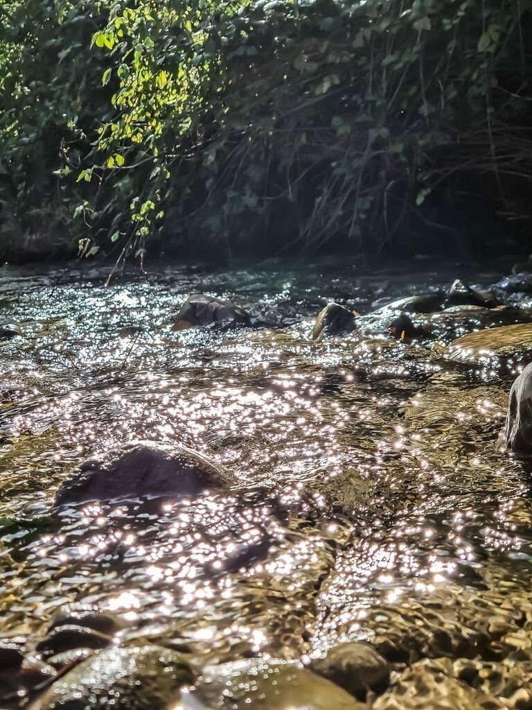 PSX_20210923_202351 | mtkfoto_ - Realisiert mit Pictrs.com