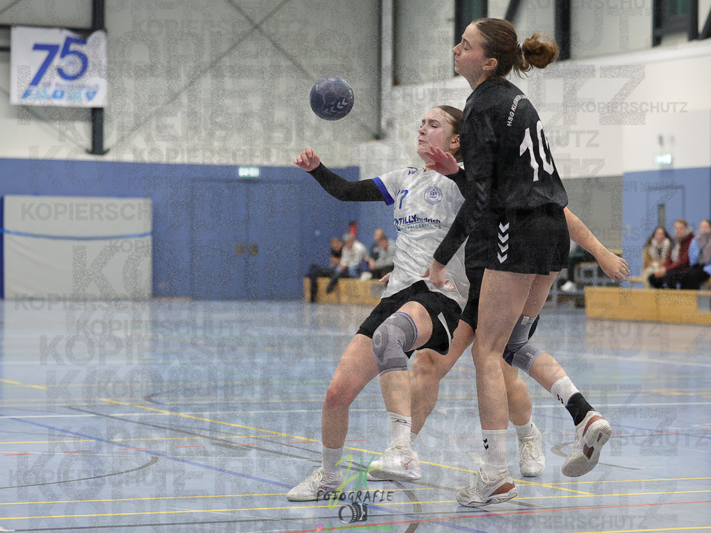 Frauen 2. Bezirksklasse, SG Rechtenbach - HSG Kleenheim/Langgöns III | Frauen 2. Bezirksklasse, SG Rechtenbach - HSG Kleenheim/Langgöns III am 16.11.2024 in Rechtenbach (Sporthalle Rechtenbach)Photo © 2024 - Jörg Heinrich - Realisiert mit Pictrs.com