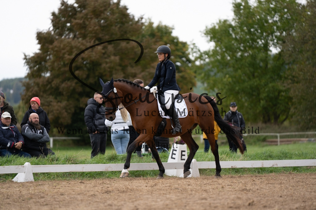 A7V05388 | Pferdefotograf