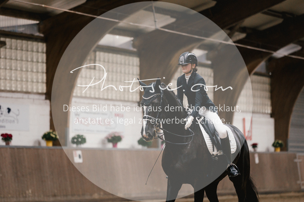 3I6A8848 | Stimmungsvolle Portraits und Reitsportfotografie im Ruhrgebiet und im Münsterland.

Pferdefotografie, Hundefotografie, Tierfotografie, Reportagen, Portraits von Tier und Mensch, Turnierfotografie in Bochum, Recklinghausen, Marl, Haltern am See, Dülmen.. - Realisiert mit Pictrs.com