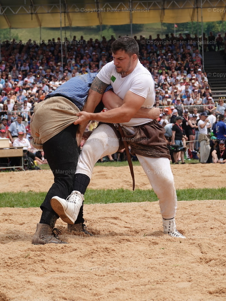DSC04968 | Schwingen - Realisiert mit Pictrs.com