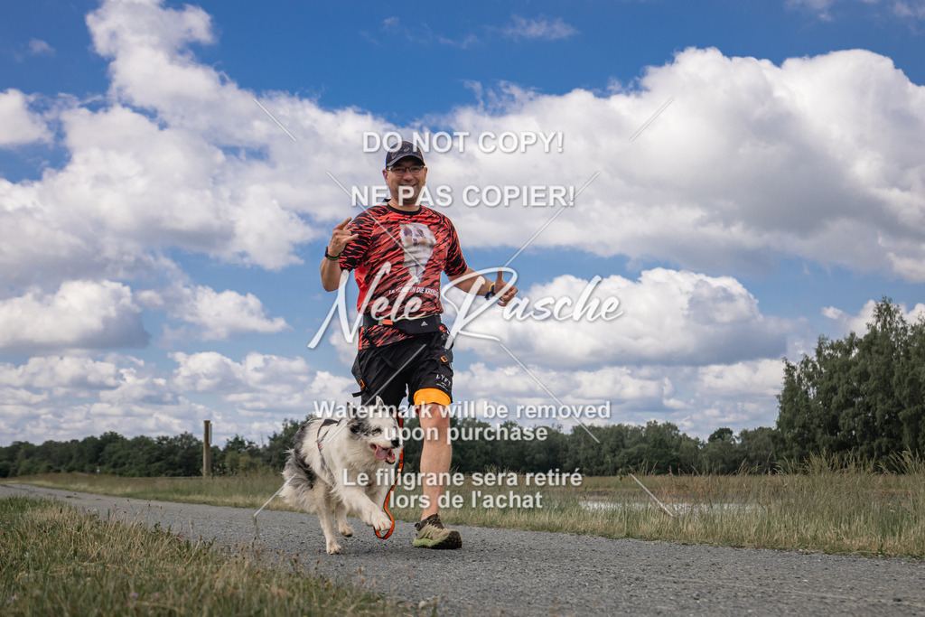 nelerasche_BuHu2026_SaCC1100-1200_58 | nelerasche