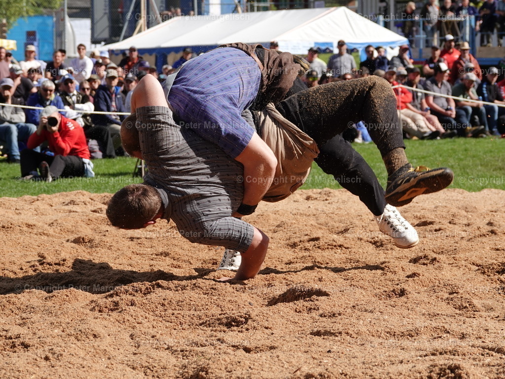 DSC07110 | Schwingen - Realisiert mit Pictrs.com