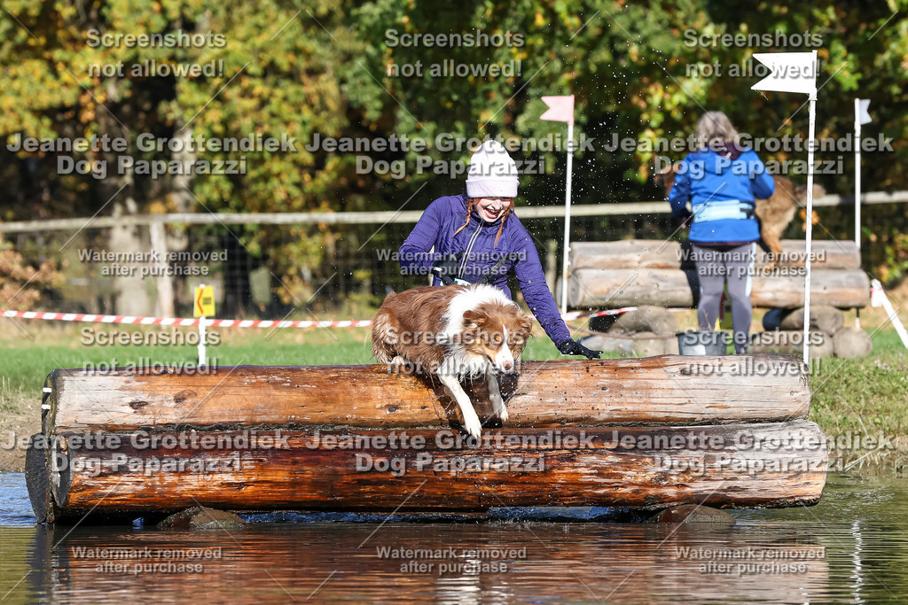 Dog Paparazzi - Strongdog 10-25-8897 | Dog Paparazzi Jeanette Grottendiek Fotografie & Videografie - Realisiert mit Pictrs.com