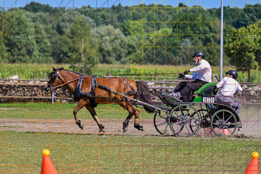 30 Jahre RFV Pulsnitz e.V., Pulsnitz am 09.08.2026 | Zur 28. breitensportlichen Veranstaltung des RFV Pulsnitz e.V. fanden verschiedene Wettbewerbe in nahezu allen Disziplinen des Pferdesport statt. - 18 Kegel-Fahr-Wettbewerb - Realisiert mit Pictrs.com