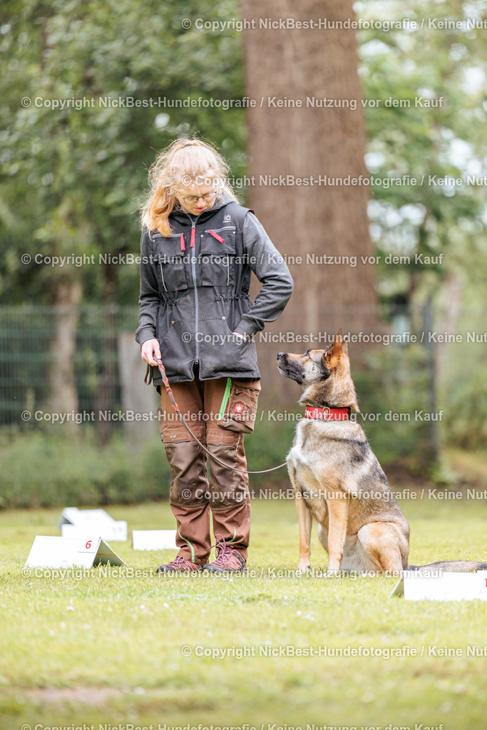 RO-Blumenthal-2026-Nickbest-Hundefotografie-4956 | Dein Hund! Dein Moment! Deine Erinnerungen! Hundefotografie in Bremen Blumenthal. Ich fange die besonderen Momente deines Vierbeiners ein – ob Indoor mit Blitzanlage oder in der freien Natur. Sicher dir dein Moment und dein Termin für eure Erinnerungen.