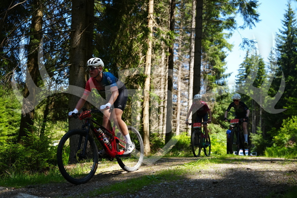 FC101720 | Fotogalerie der Treibjagd im Dunkelwald - Dein MTB Etappenrennen im Erzgebirge - Realisiert mit Pictrs.com