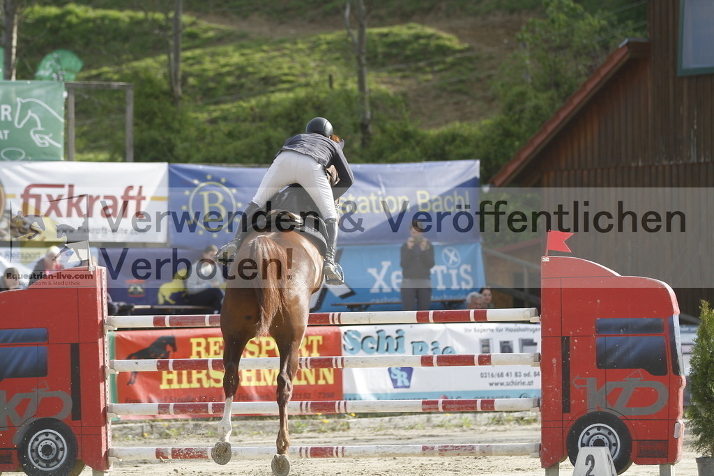 _MG_1262 | equestrian-live-com