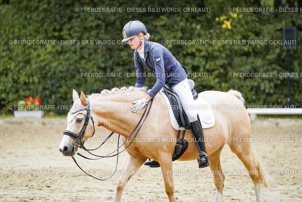 DSC07640 | Pferdegrafie