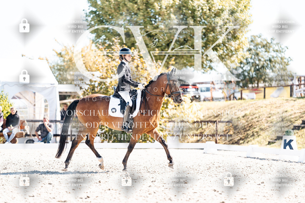 CK909235 | Turnierfotografie Pferdefotografie Trier Rheinland-Pfalz Pferdesport Reitsport Tierfotografie Sportfotografie Pferdevideo Pferdevideografie Equestrianvideography equestrianphotography  - Realisiert mit Pictrs.com