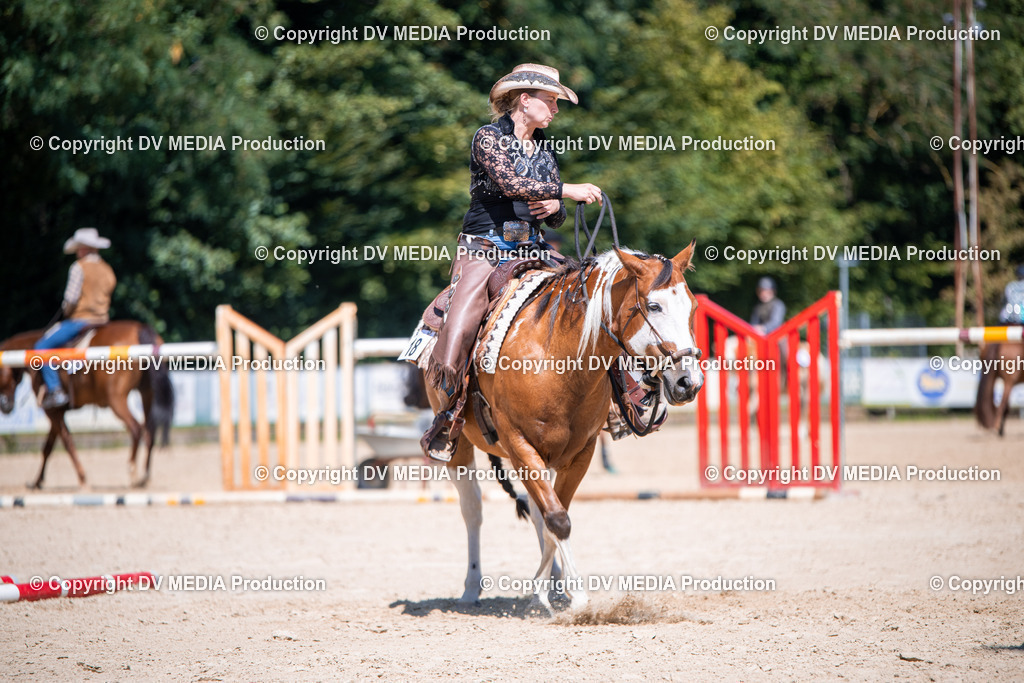 ZS1_1440 | dv-media-shop - Realisiert mit Pictrs.com