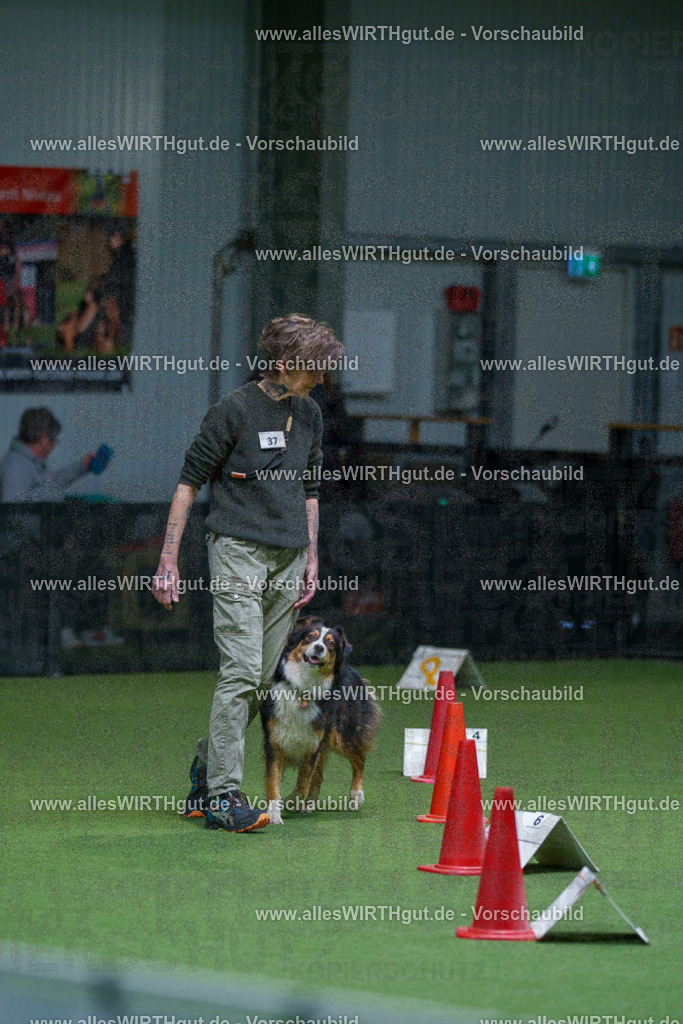 7R506075 | Professionelle Tierfotografie in Mönchengladbach von Daniel Wirth (allesWIRTHgut). Liebevolle & natürliche Bilder von Hunden & Katzen für unvergessliche Erinnerungen.