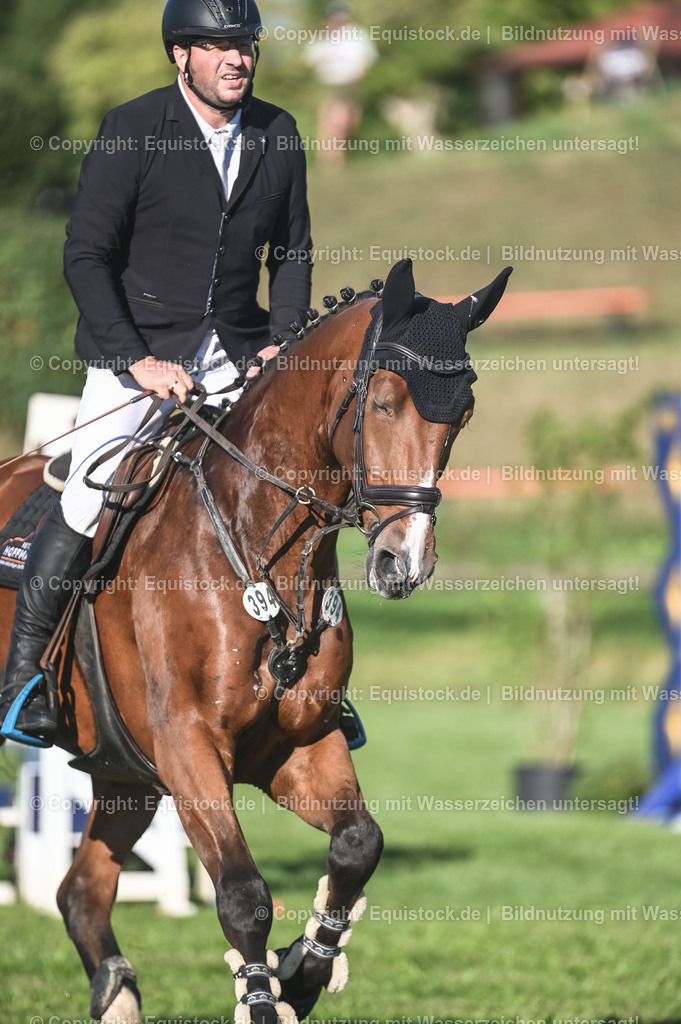 20230908_14-15_Springpferde-A_0038 | equistock