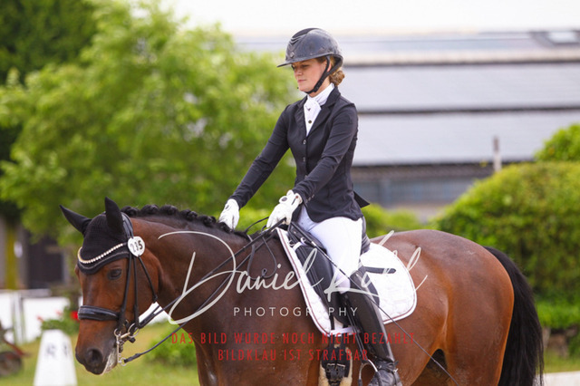 DKP40368 | Turniersportfotografie; Pferdefotografie; Dressurfotografie