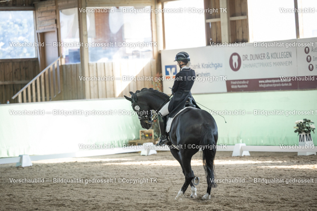 _D5A0257 | Emotionale Pferde- & People-Fotografie rund um Heidelberg, Leimen & Umgebung. Natürliche Fotos von Pferd, Mensch & Familie. Jetzt Termin sichern!