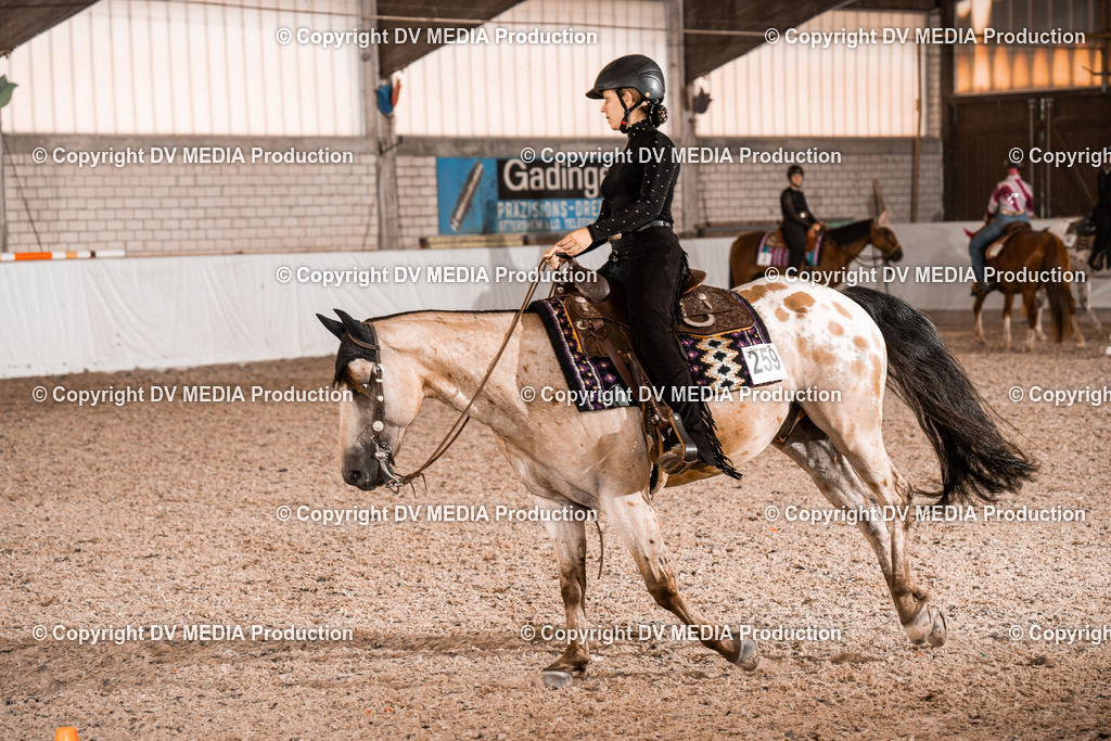 ZH100737-2 | dv-media-shop - Realisiert mit Pictrs.com