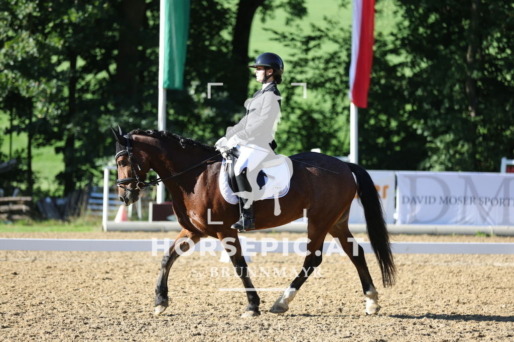 0P6A5878 | Willkommen bei Brunnmayr - Design & Fotografie – Ihrem Spezialisten für Reitturniere und Pferdeveranstaltungen in Oberösterreich, Salzburg und Bayern! Seit über 17 Jahren sind wir leidenschaftlich dabei.