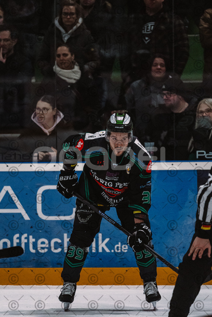 Alligators_vs_Heilbronn_08_02_2026-43 | Höchstadt Alligators Fotogalerie: Eishockey-Action aus Franken. Professionelle Spielfotos, Portraits & Stadionbilder zum Download. Jetzt entdecken! - Realisiert mit Pictrs.com