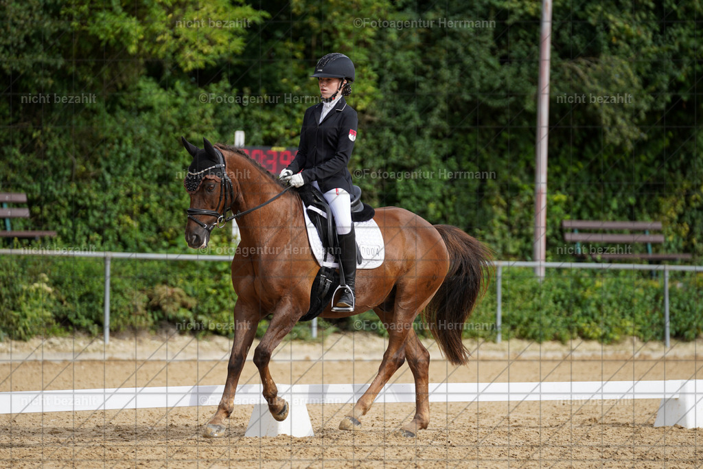 20240825-FAH00296 | Turnierbilder, Reitsportfotos, LAPO, Landesponyturnier, Turnierfotografen Bayern