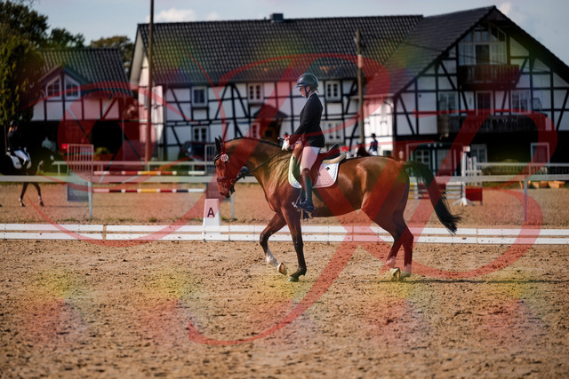 2026_10_03_Siefer-Hof_131518_Z63_76779933 | Professionelle Reitsport-, Turnier- und Eventfotografie von Robert Broda. Galerien mit ausgewählten und bearbeiteten Bildern direkt online ansehen und bestellen.