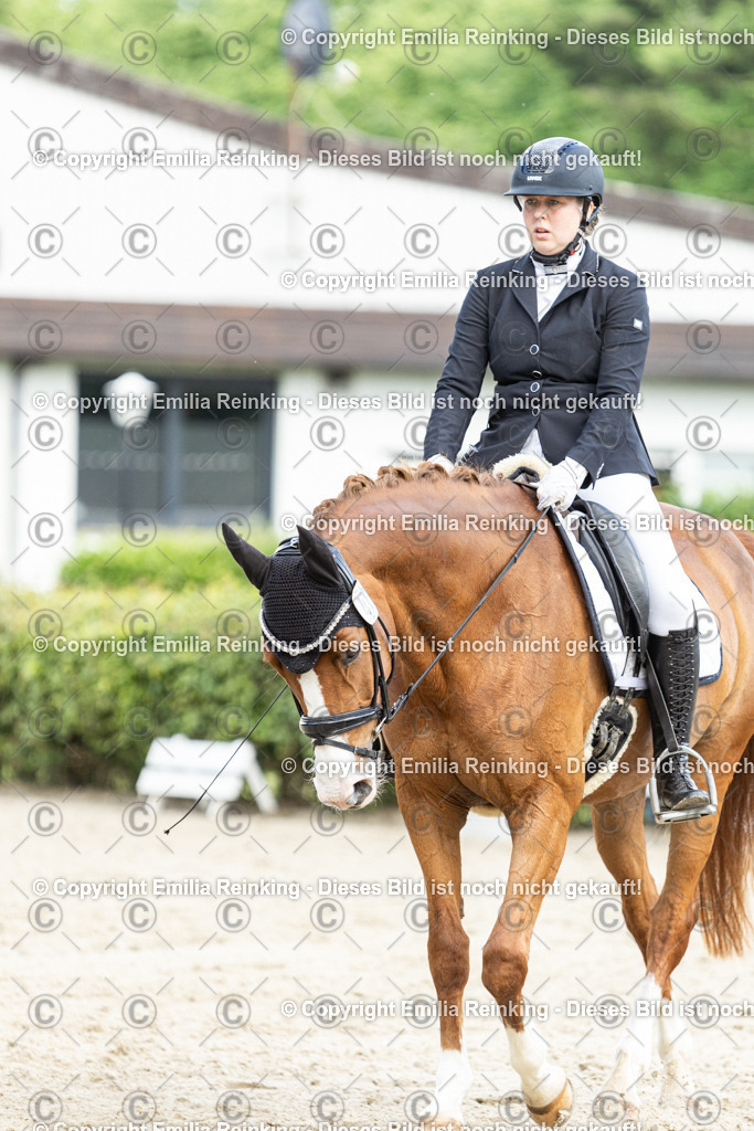 CL5A6623-2 | Emilia Reinking Fotografie - Realisiert mit Pictrs.com