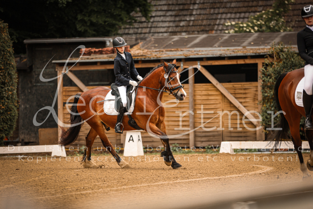 DoDrE00019 | Leoni Ertmer Photography - Realisiert mit Pictrs.com