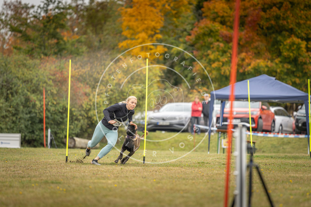 Pfotenfotografie_DV3A3948 | Hundefotografie, Tierfotograf, Pfotenfotografie, Fotoshooting Hund, Hunde Portrait, Hundesport, Hundeportraits, Heideshooting, Hunde, Sportfotograf, Hundefotograf, Turnierhundsport, THS,  - Realisiert mit Pictrs.com