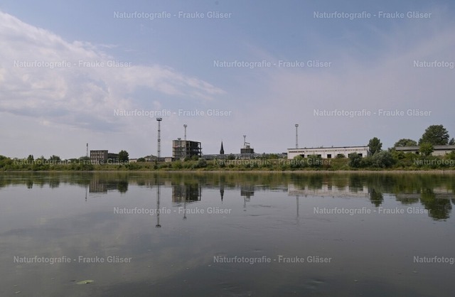 F.Gläser_1052 | Naturfotografie Frauke Gläser - Realisiert mit Pictrs.com
