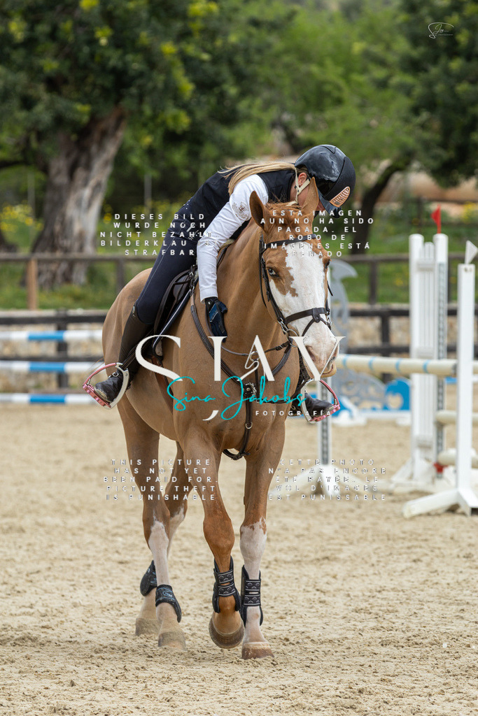 IMG_4814 | s-jay-photography - Realisiert mit Pictrs.com