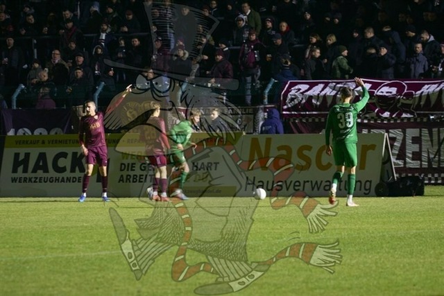 BFC Dynamo vs. BSG Chemie Leipzig 039 | mythos-online-redaktion