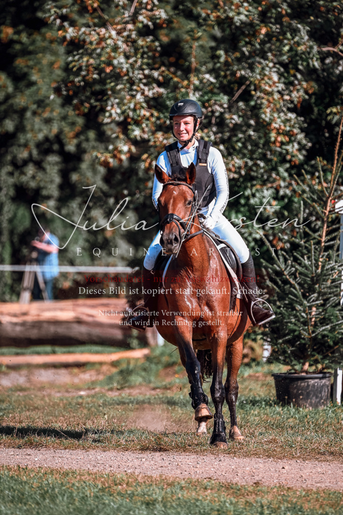 DSC_0689 | Pferde- und Turnierfotografie in Westsachsen. Pferdeportraits, Auftragszeichnungen und intuitive Kunst.