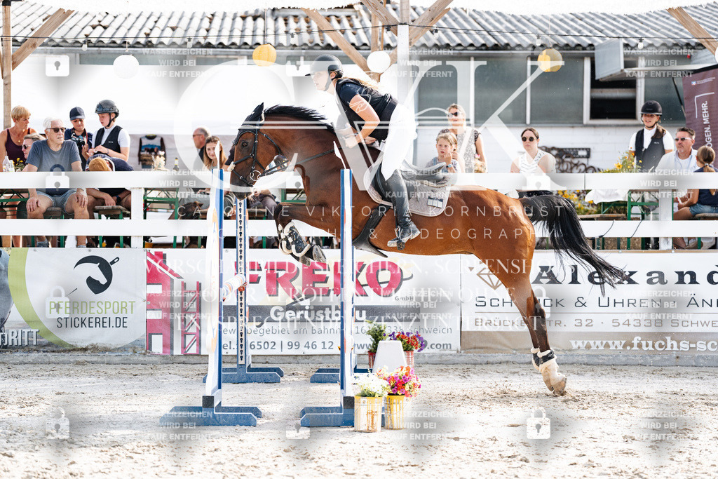 CK906107 | Turnierfotografie Pferdefotografie Trier Rheinland-Pfalz Pferdesport Reitsport Tierfotografie Sportfotografie Pferdevideo Pferdevideografie Equestrianvideography equestrianphotography  - Realisiert mit Pictrs.com