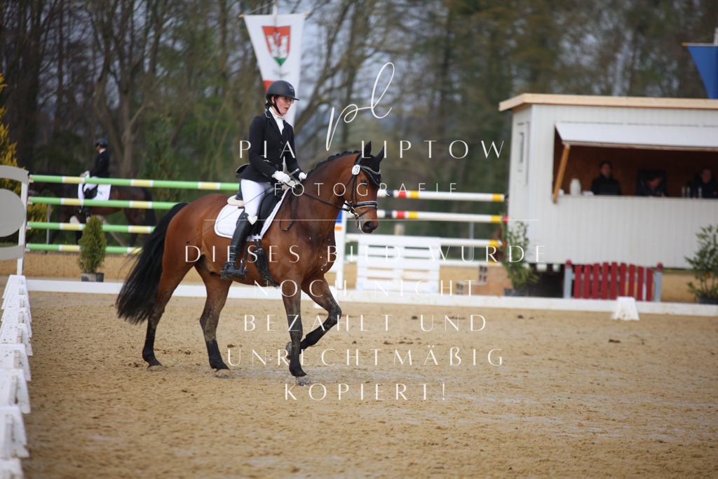 IMGT8210 | pl-fotografie