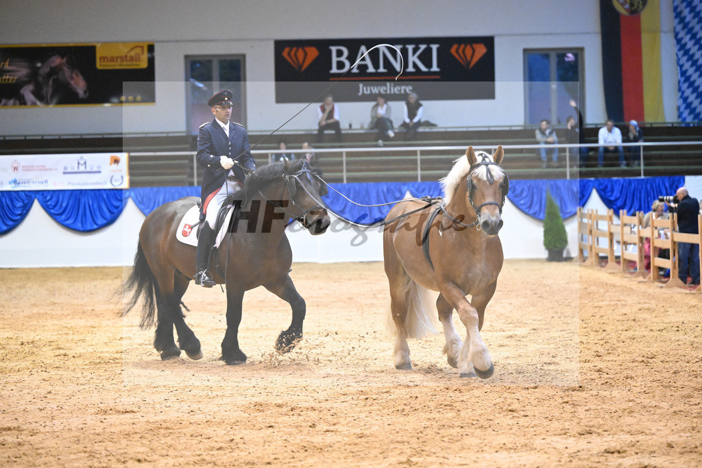 Schauprogramm_54222465 | hf-fotografie - Realisiert mit Pictrs.com