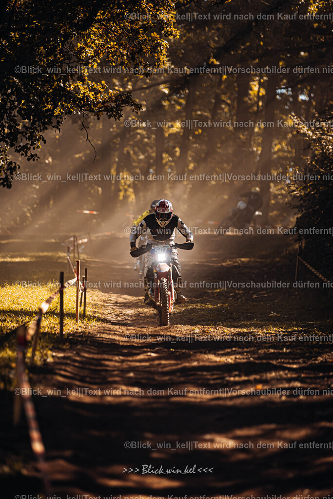 E68A6136 | blick_win_kel