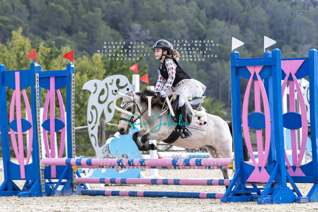 IMG_2303 | s-jay-photography - Realisiert mit Pictrs.com